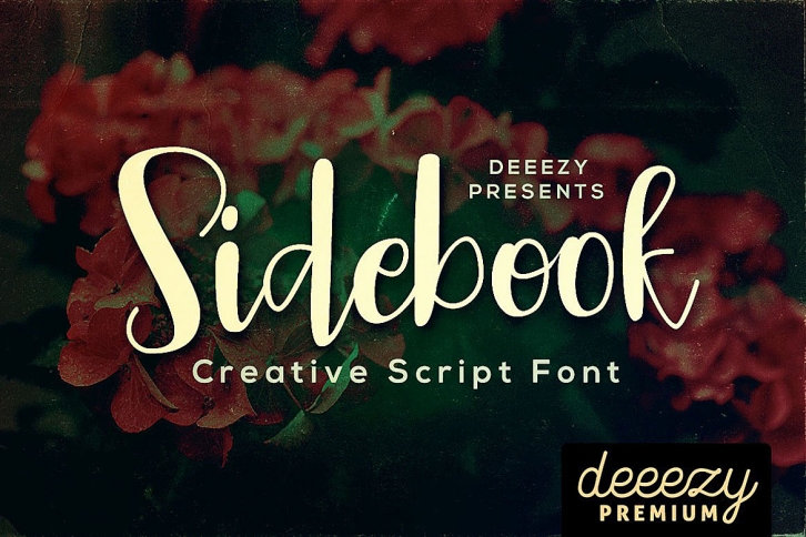 Sidebook Script Font Font Download