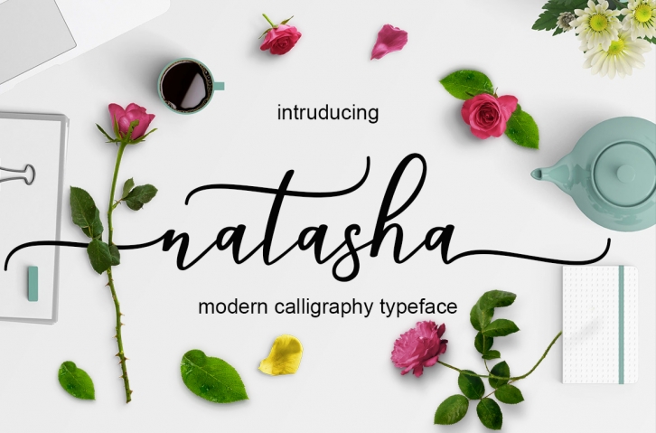 Natasha Font Download