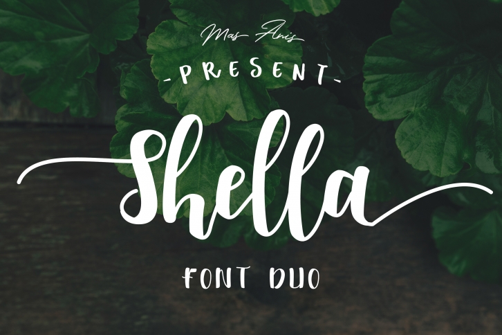 Shella Font Duo - Intro Sale ! Font Download