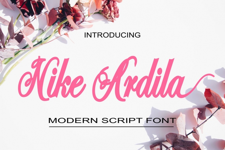 Nike Ardila Font Download