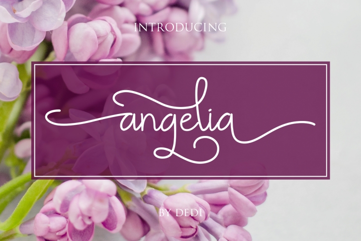 Angelia Font Download