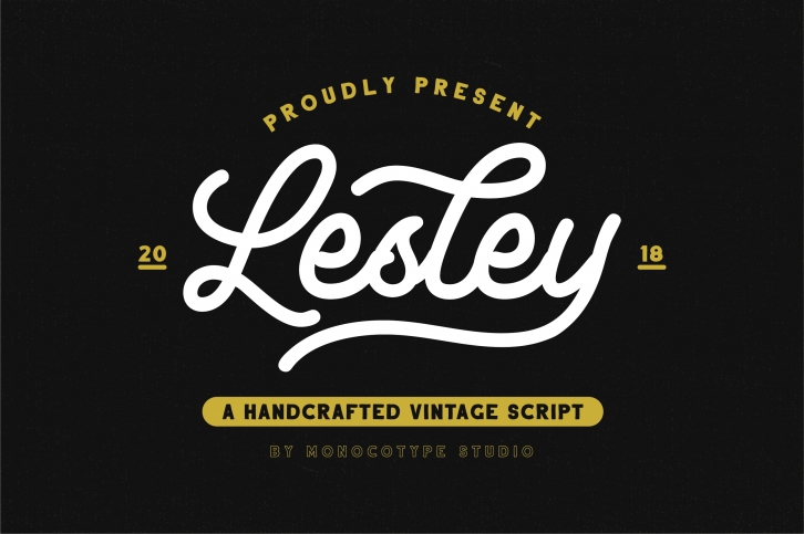 Lesley - Monoline Script Font Font Download