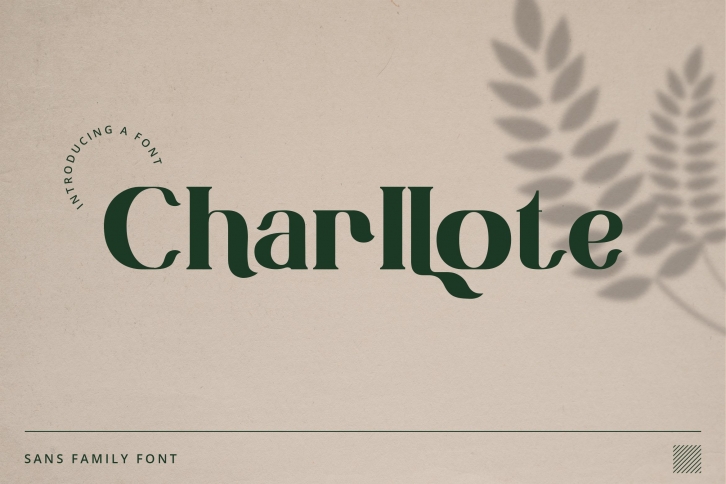 Charllote Sans Font Font Download