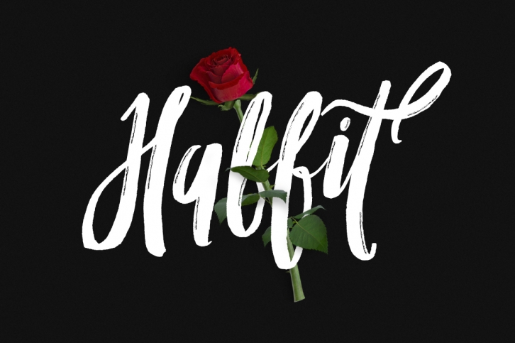 Habbit Typeface Font Download