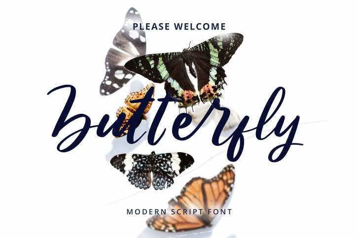 Butterfly Modern Script Font Font Download