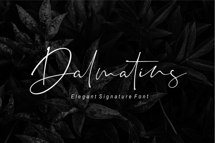 Dalmatins  Elegant Signature Font Font Download