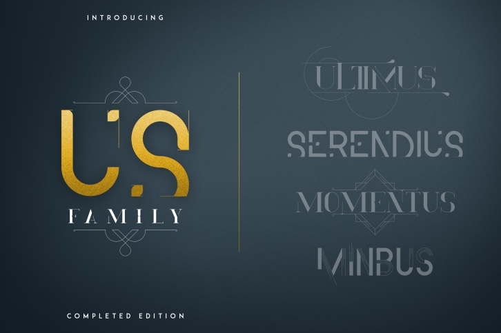 US Family Font Download