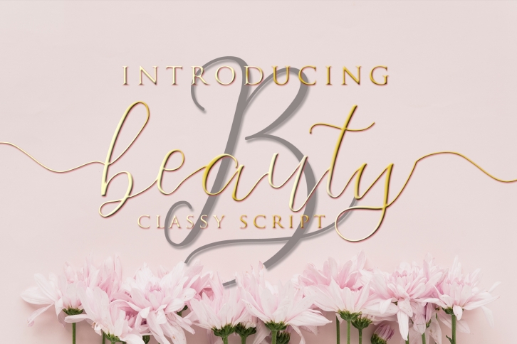 Beauty - Classy Script Font Download