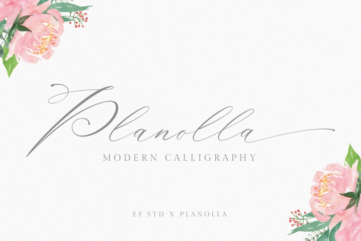 Planolla | Modern Calligraphy Font Download