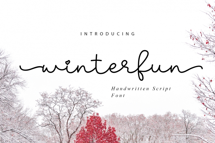 Winterfun | Handwritten Font Font Download