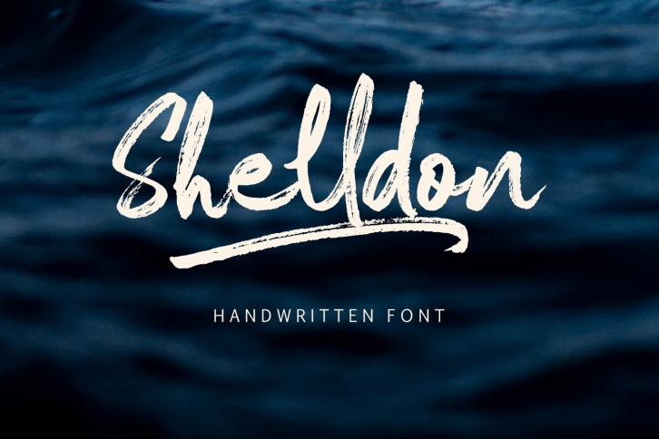 Shelldon Font Font Download