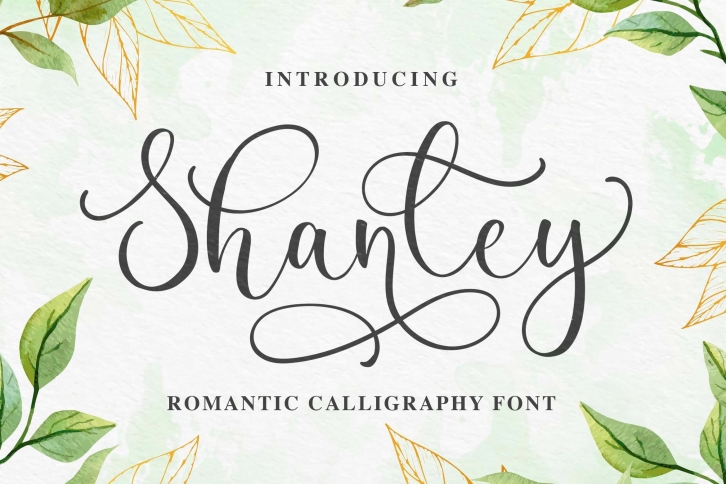 Shanley a Romantic Calligraphy Font Font Download