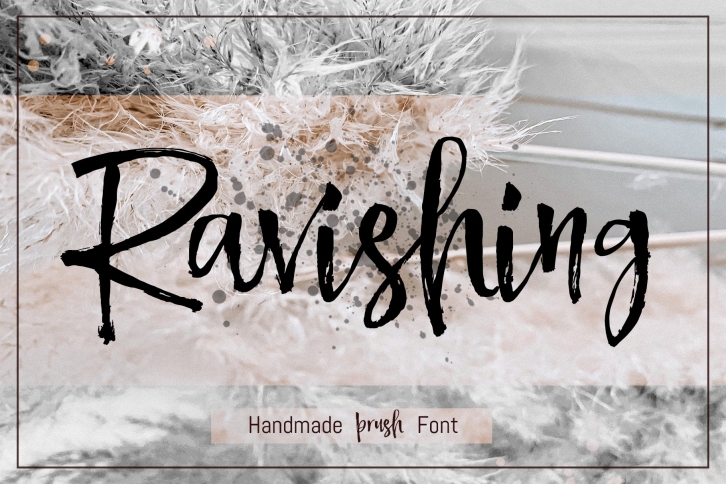 Ravishing Brush Font Font Download