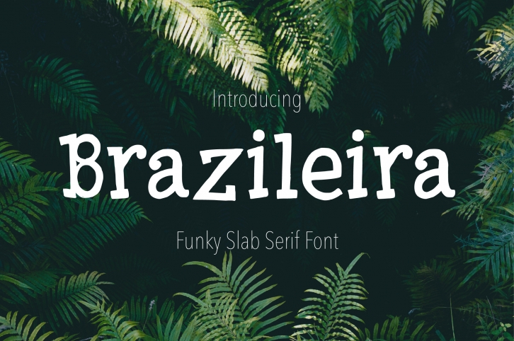 Brazileira - Slab Serif Font Font Download