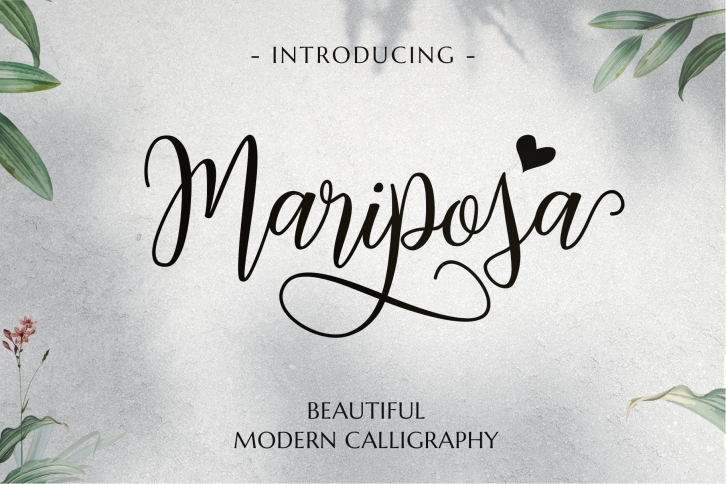 Mariposa Script Calligraphy Font Download