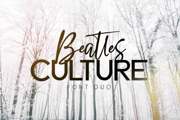 BEATLES CULTURE- Font Duo Font Download