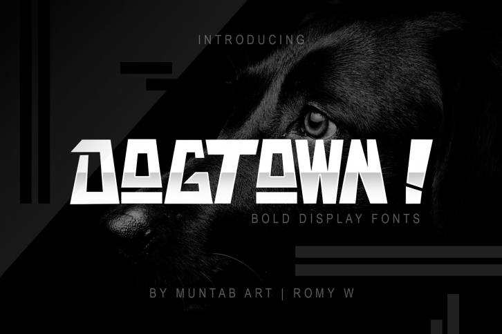 DOGTOWN ! Font | Ungeometric Font Download