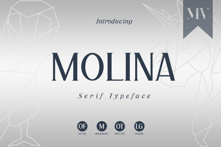 Molina Serif Font Font Download