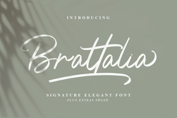 Brattalia Font - EXTRA SWASH Font Download
