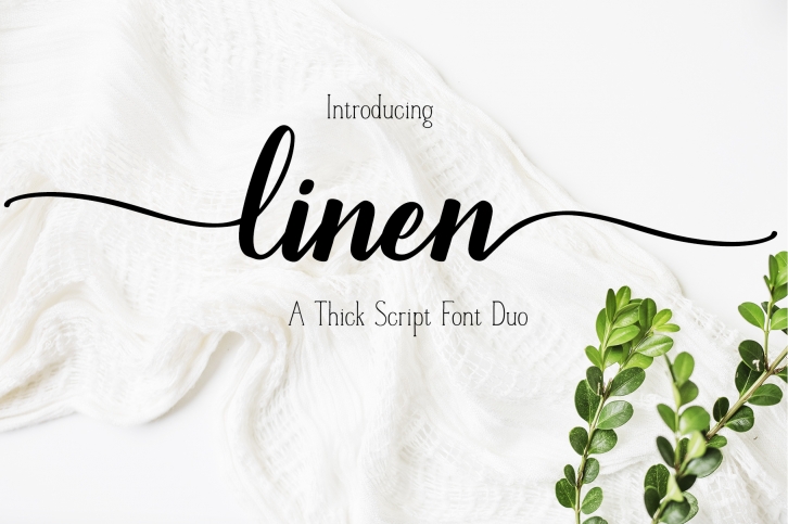 A Font Duo - LINEN - Thick Script paired with a serif Font Download