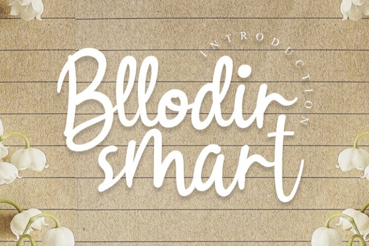 Bllodir Smart Font Download