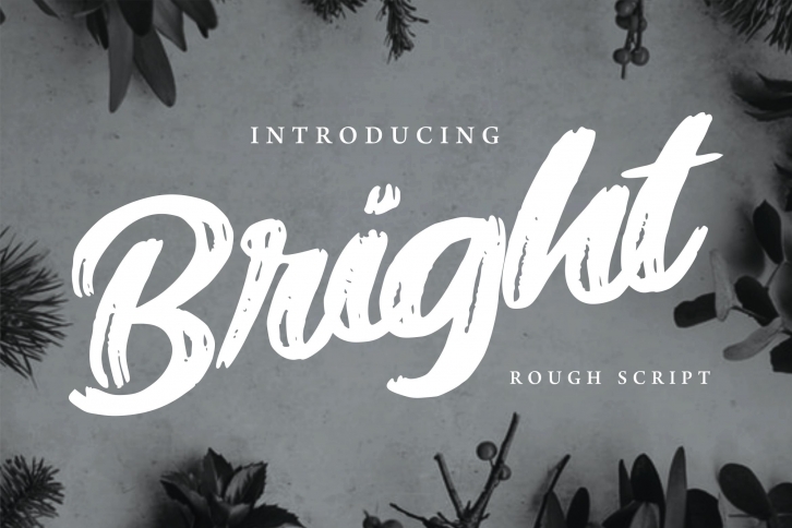 Bright | Modern Rough Script Font Font Download