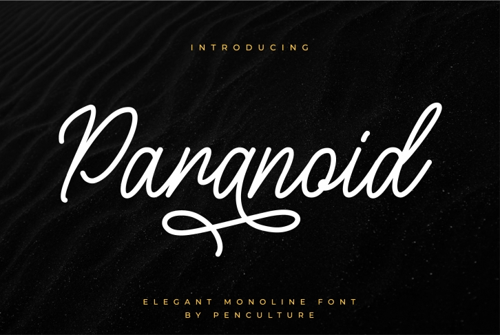 Paranoid - Elegant Monoline Font Font Download