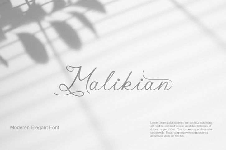 Malikian Script Font Font Download