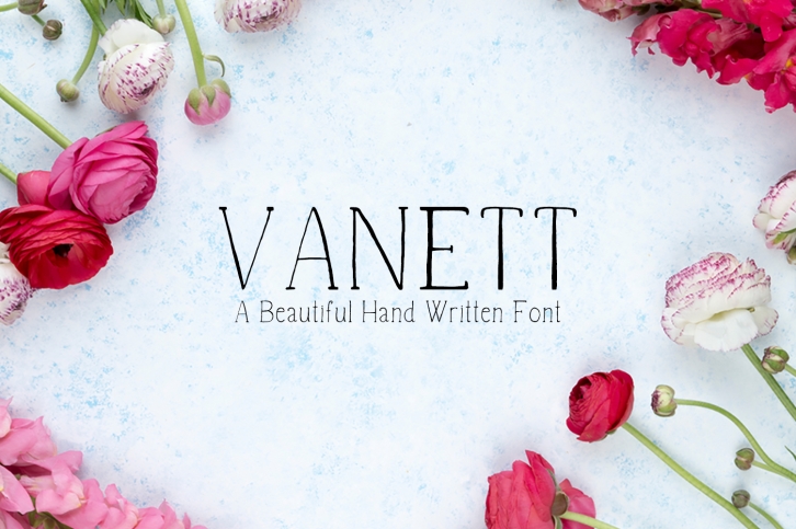 Vanett A Beautiful Handwritten Font Font Download