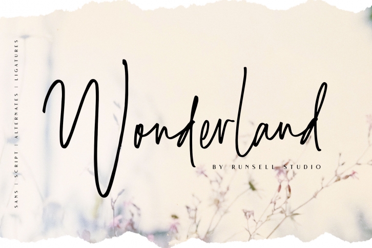 Wonderland | Script & Sans Serif Font Download