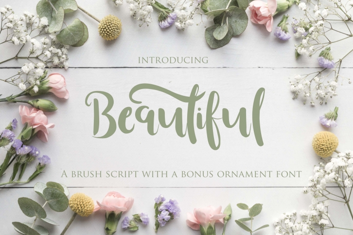 Beautiful Font with Bonus Ornament font Font Download