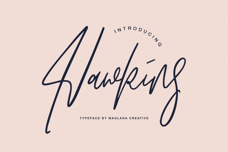 Hawkins Signature Brush Font Font Download