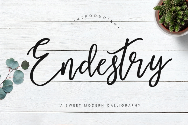 Endestry Modern Calligraphy Font Download