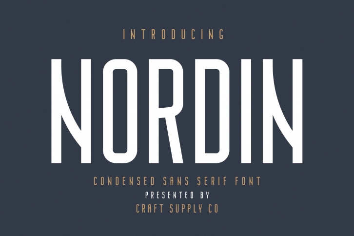 Nordin - Condensed Sans Serif Font Font Download