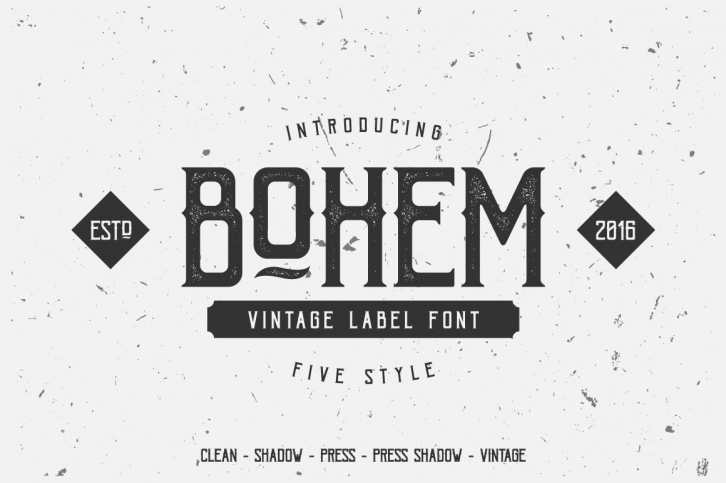 Bohem Typeface - 5 Font Styles Font Download
