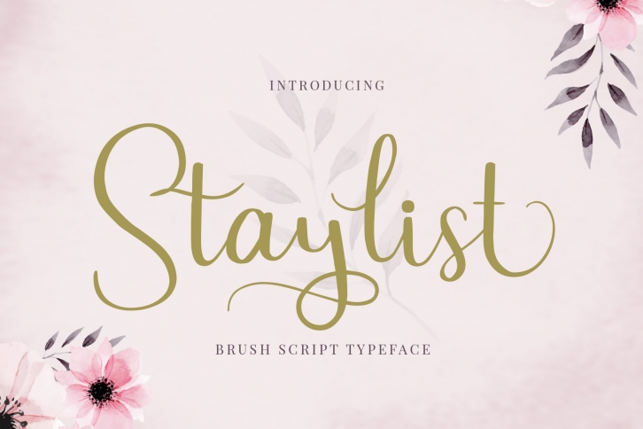 Staylist Script Font Font Download
