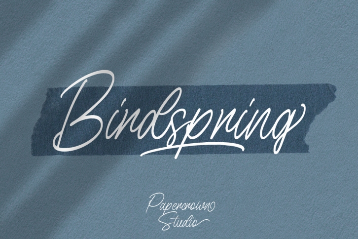 Birdspring Signature Font Download