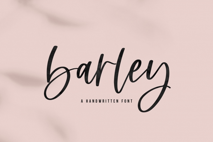 Barley - A Handwritten Script Font Font Download