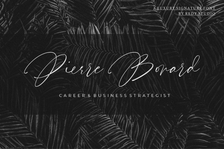 Pardone | Luxury Signature Font Font Download