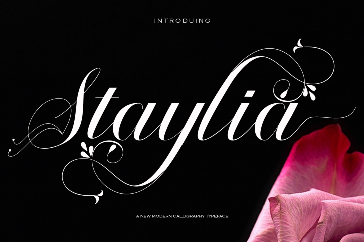 Staylia Font Download