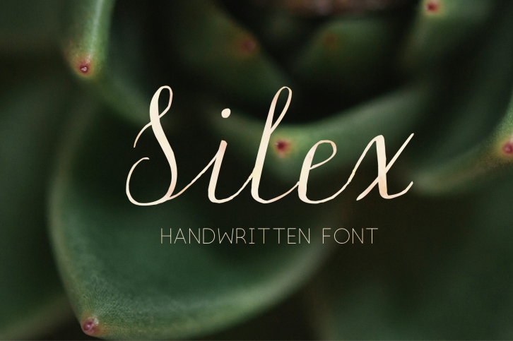 Silex. Modern calligraphy Font Download
