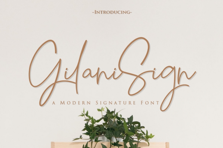 Gilani Sign| A Modern Signature Font Font Download