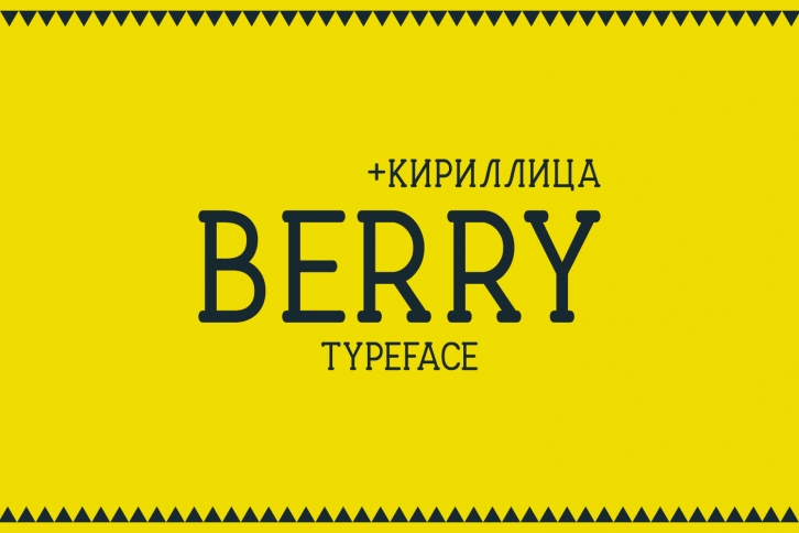 Berry Typeface Font Download