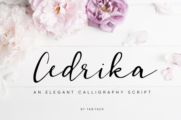 Cedrika script Font Download
