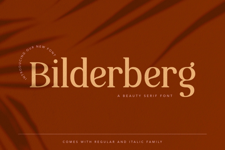 Bilderberg Beauty Serif Font Font Download