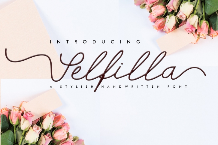 Selfilla Font Download