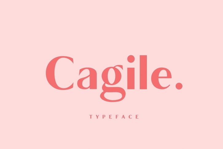 Cagile - 4 Styles Font Download