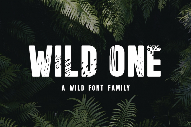 Wild One - A Wild Font Family Font Download