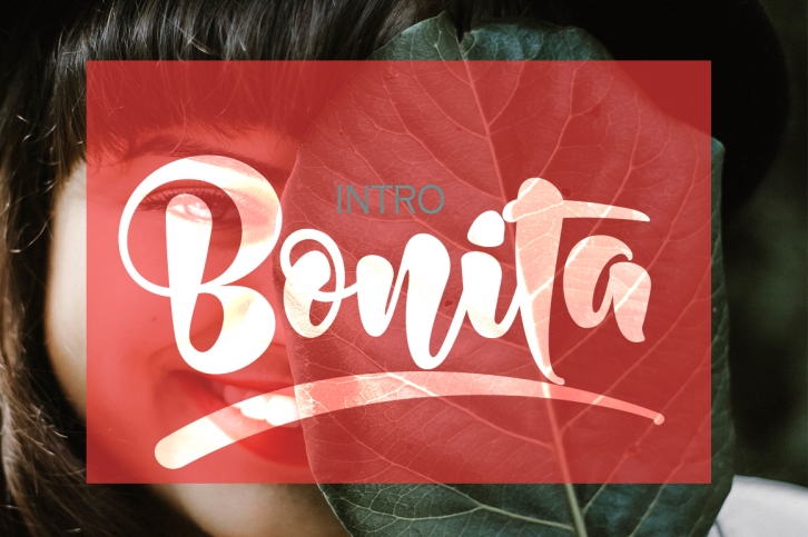 Bonita Bold Font Download