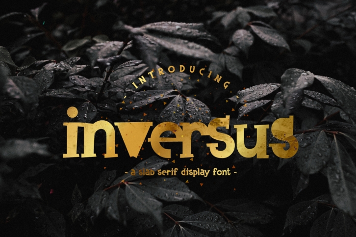 Inversus u2013 a slab serif display font Font Download